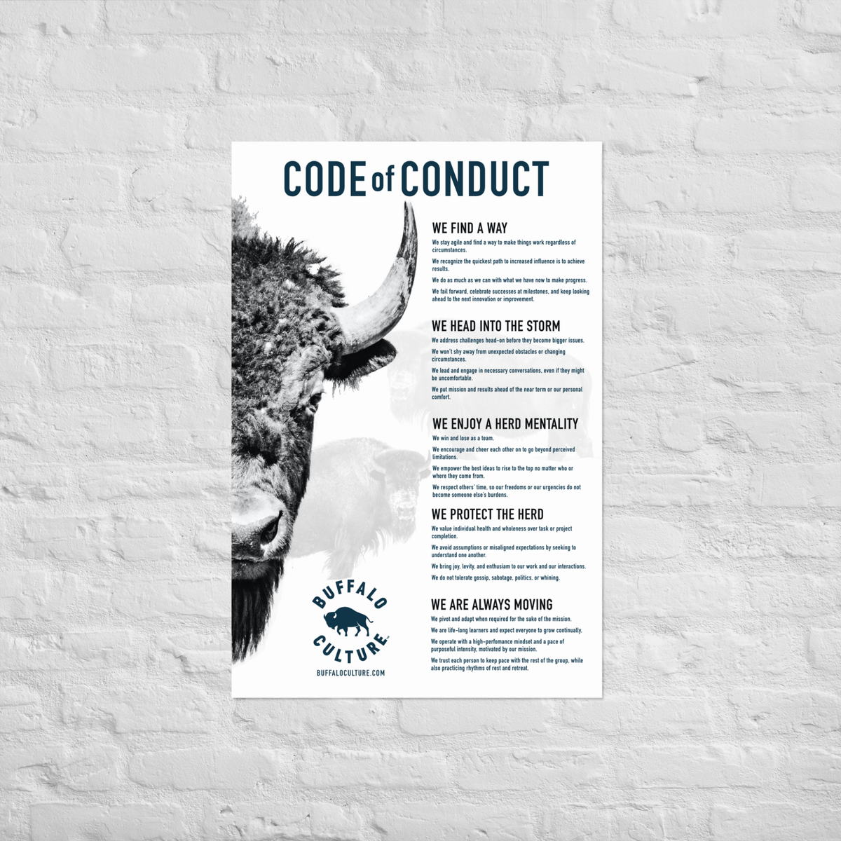Buffalo Culture Code of Conduct Poster
